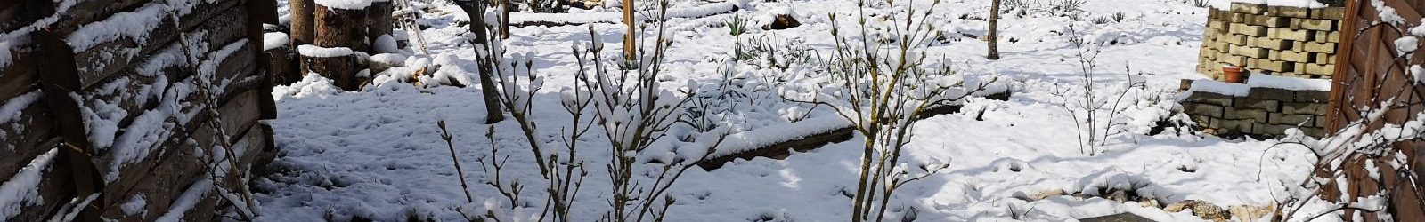 22. März 2020 – Und doch nochmal Schnee im Hortus Civitas Ursi
