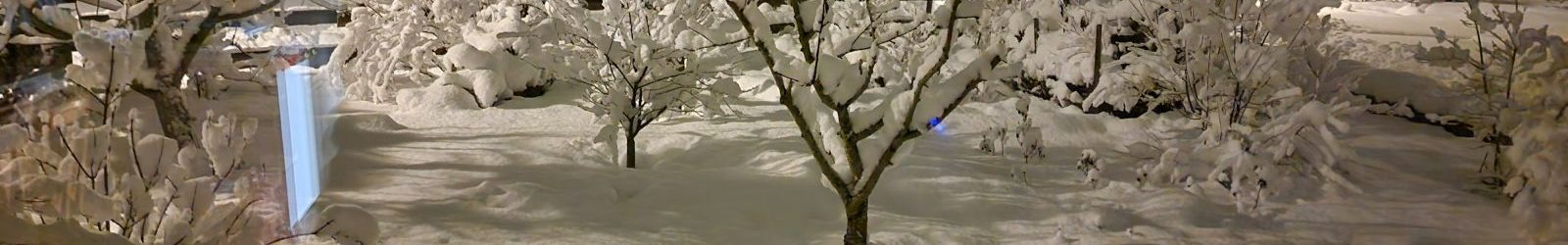 01. Februar 2023 – Winter im Hortus